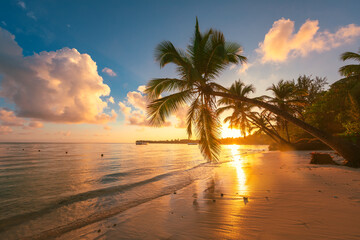 Landscape of paradise tropical island beach, sunrise shot