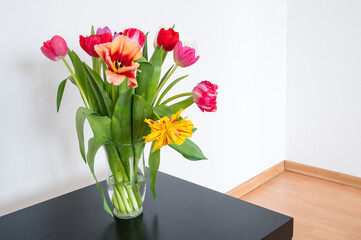 Bouquet of tulips in glass vase on black table. Beautiful spring flowers. White wall. Home decor.