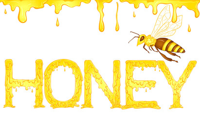 Naklejka premium Lettering dripping word Honey yellow color with drips and bee. Vector illustration isolated on white background. Font design in hand drawn style. Words for print, posters, books, icon, stickers.