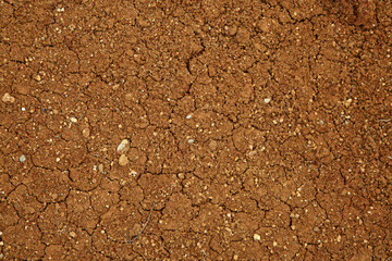 dried and cracked red earth close-up