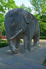 China, Nanjing, stone elephant in the Sacred Way to Xiao ling Mausoleum. The place has harmony and serenity atmosphere.  - 419252248