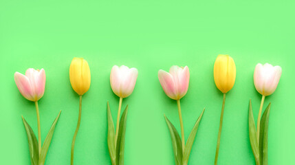 Spring colorful tulips on a green background. Concept of holiday, easter, mothers day