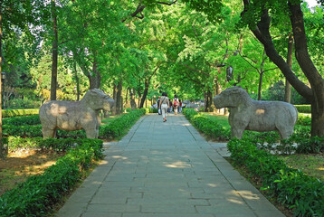 China, Nanjing, stone Xiezhi in the Sacred Way to Xiao ling Mausoleum. The place has harmony and serenity atmosphere. - 419252464