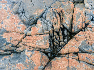 USA, Maine. Patterns on rock on the beach near Thunder Hole in Acadia National Park.