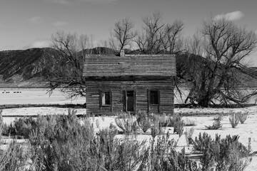 Old Isolated, Abandoned Cabin in Wilderness