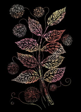 Autumn twig drawing in grattage technique - Hand painted scratch art isolated on black background