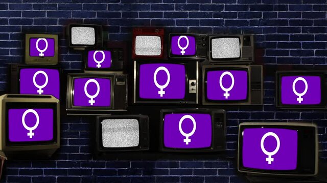 Women or Female Symbol Flag on Vintage Televisions.  