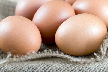 Fresh country eggs collected straight from the hen