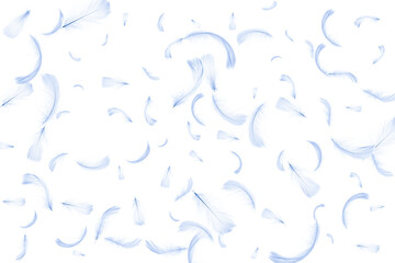 Feather background. Nature bird feather texture closeup falling on white for pattern wallpaper. Abstract. Light blue color trends and vintage.