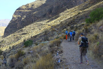 Fototapeta na wymiar Vallée de la Colca, Arequipa, Pérou