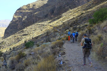 Obraz premium Vallée de la Colca, Arequipa, Pérou