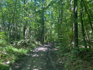 Reserve of the sources of Belbo near Camerana, Piedmont - Italy
