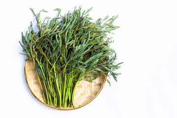 Green water mimosa vegetables on white