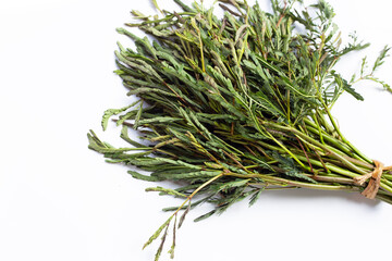 Obraz premium Green water mimosa vegetables on white