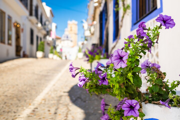 Fototapeta na wymiar Flowers in a street of Altea