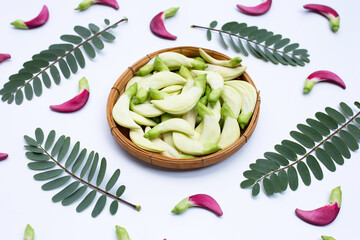 Sesbania Grandiflora with leaves on white