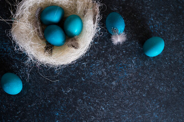 Easter eggs in nest painted in blue color on dark background