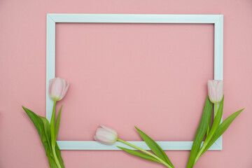 White tulips with blank picture frame on light pink background. Holiday postcard for Women's Day or Mother's Day or Sale concept. Floral spring background with copy space.