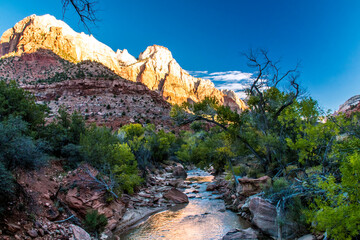 dramatic landscape of the Watchman and the Virgin River in Zion  national park in Utah
