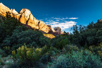 Fototapeta premium dramatic landscape photo of canyons, cliffs, rivers in Zion national Park in Utah.