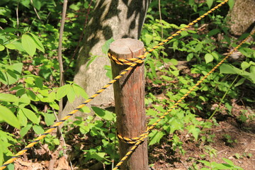 ２本のトラロープが張ってある杭