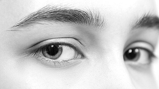 macro photography of the eye, focus on the iris, black and white portrait