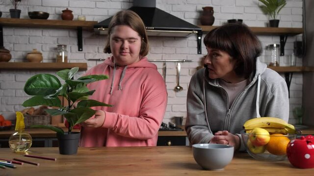 Caring disabled teenage girl wiping leaves of potted plant and talking to mother. Positive handicapped teenager with down syndrome taking care of ficus standing on kitchen table