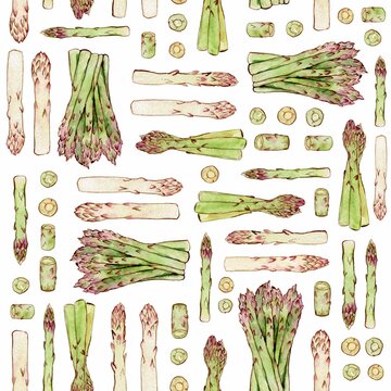 Watercolor and ink spring asparagus pattern on white. Seamless pattern with freshly asparagus. Colorfull background for textile, wallpapers, print and banners.