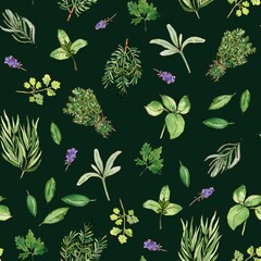 Watercolor and ink herbs pattern on dark green. Seamless pattern with freshly aromatic herbs. Colorfull background for textile, wallpapers, print and banners.