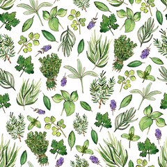 Watercolor and ink herbs pattern on white. Seamless pattern with freshly aromatic herbs. Colorfull background for textile, fabric, wallpapers, print and banners. © AnjeseAnna