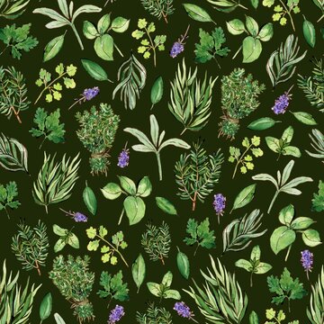 Watercolor and ink herbs pattern on dark green. Seamless pattern with freshly aromatic herbs. Colorfull background for textile, wallpapers, print and banners.