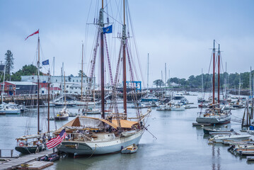 Fototapeta premium USA, Maine, Camden. Camden Harbor with schooners
