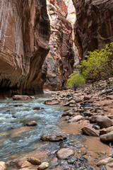 dramatic and spectacular landscape photo of the "Narrows", Virgin River in Zion National Park in Utah.