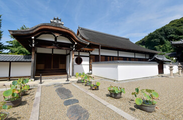 Fototapeta premium 黄檗山萬福寺 松隠堂 京都府宇治市