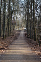 tief im Wald