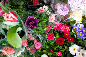 The set of beautiful spring flowers for home