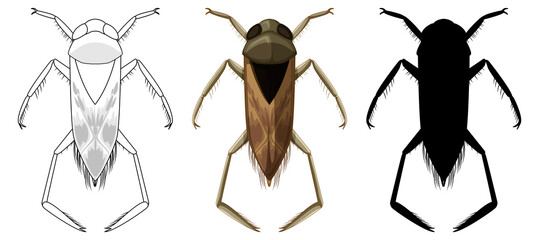 Set of backswimmer beetle in three style