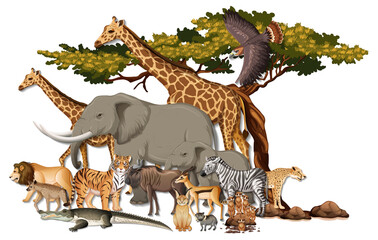 Group of wild African animals on white background