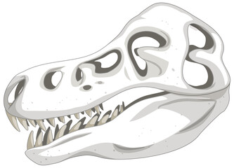 Dinosaur skeleton on white background