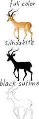 Set of impala in color, silhouette and black outline on white background