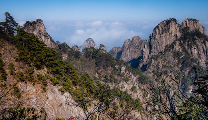 View of the clouds and the pine tree at the mountain peaks of Huangshan National park, China. Landscape of Mount Huangshan of the winter season.