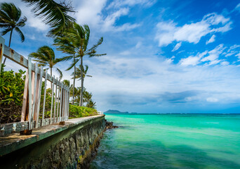 Obraz premium Lanikai beach with palms blowing in the breeze.