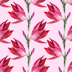 Seamless pattern watercolor summer bouquet flower red lily and bud on pink background. Hand-drawn summer botanical illustration for card, celebration, wedding, birthday, wallpaper, wrapping, textile