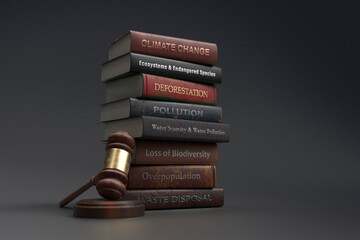 Environmental legislation textbooks next to gavel