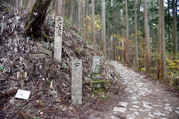 吉野山　奥千本の道標　奈良県吉野郡