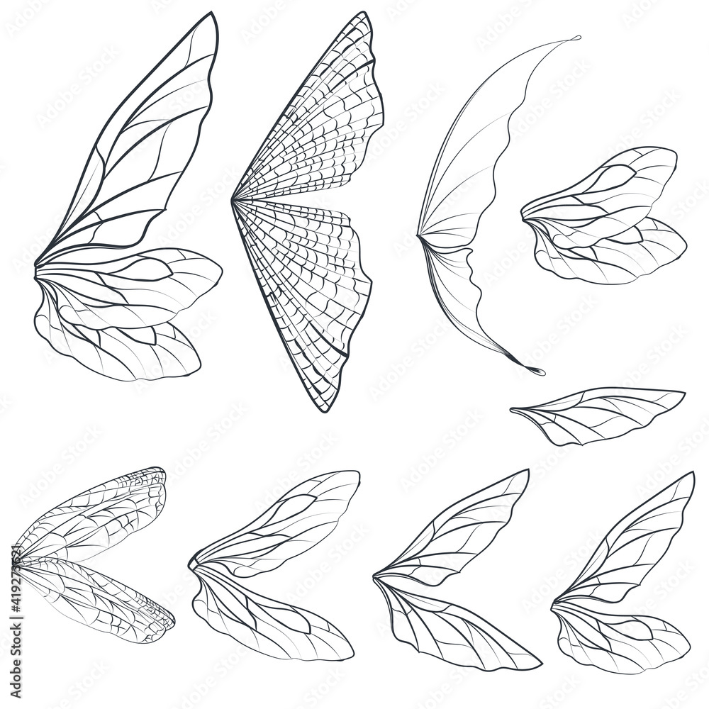 Poster collection of vector light wings for design isolated on white