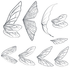 Collection of vector light wings for design isolated on white
