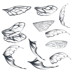 Collection of vector light wings for design