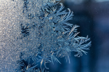 Iceflowers on the window