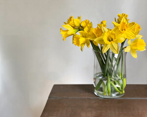 Closeup of a bouquet of yellow daffodil flowers in a glass vase set against a light gray background.